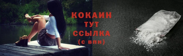 спайс Кулебаки