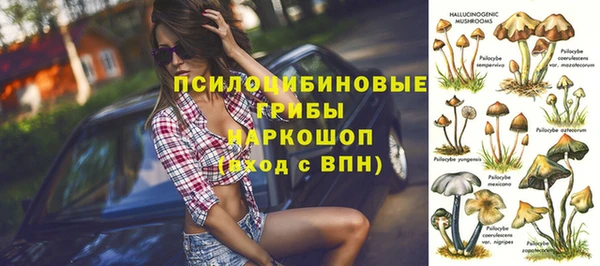 спайс Кулебаки