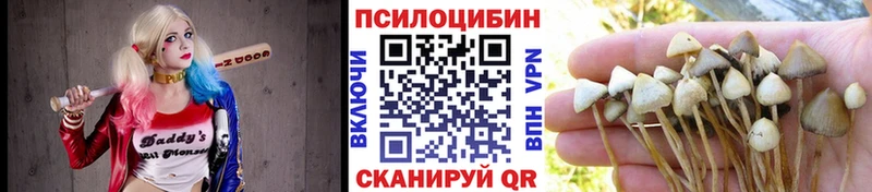 Галлюциногенные грибы прущие грибы  Великий Новгород 